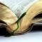 Reglas para ofrendar segun la Biblia …